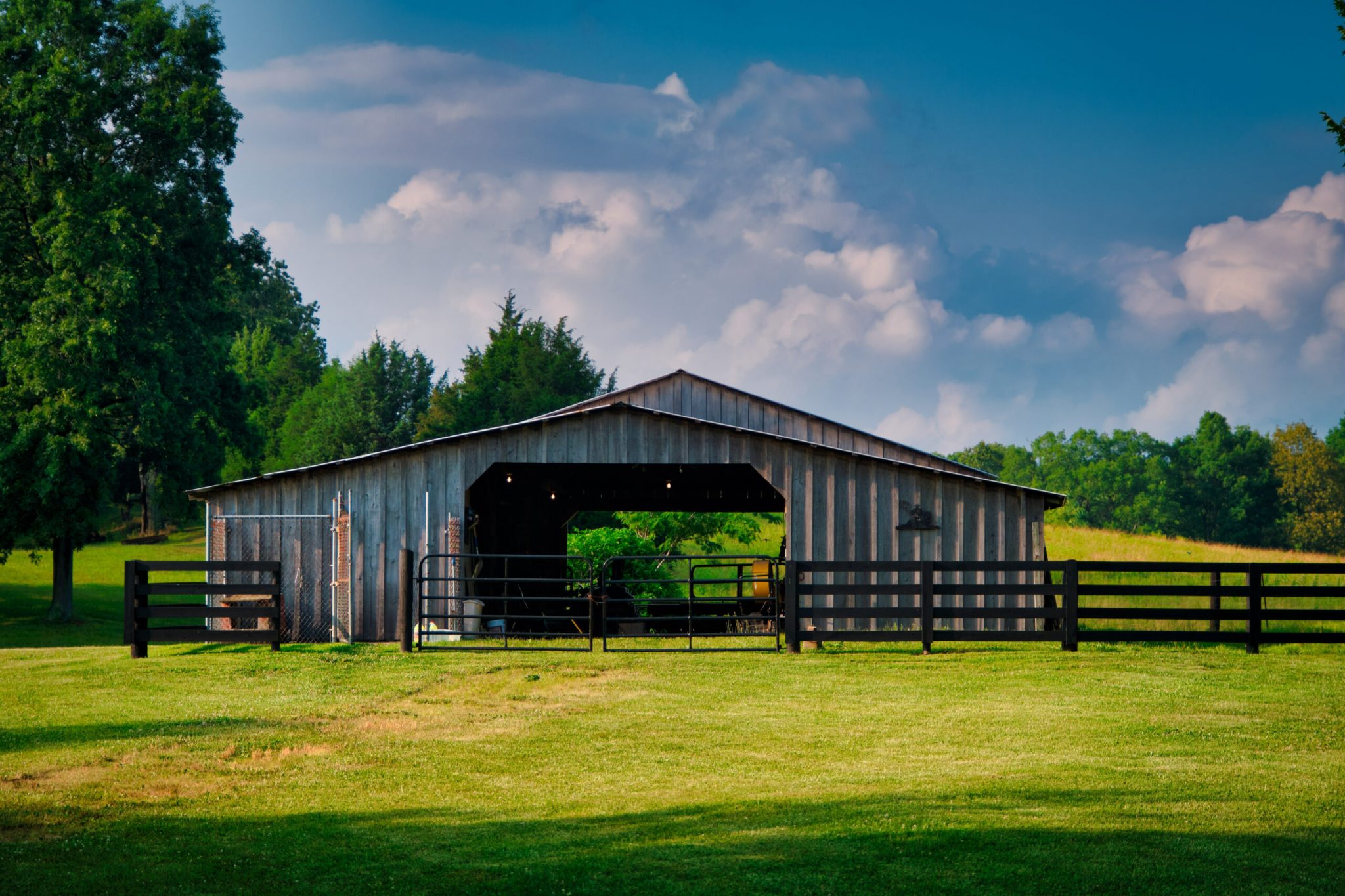 Equine coronavirus risk factors identified