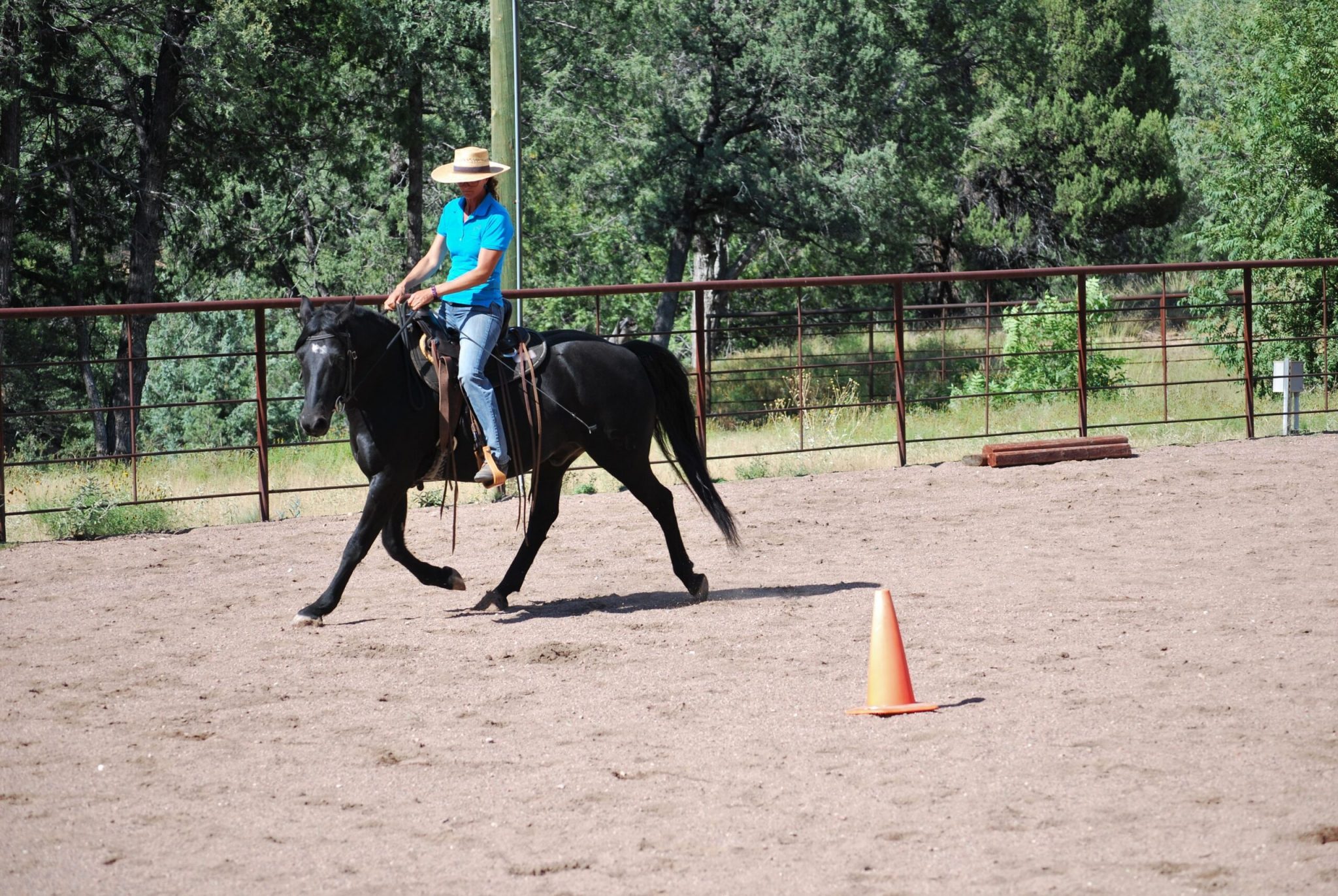 4 frequent horse coaching challenges