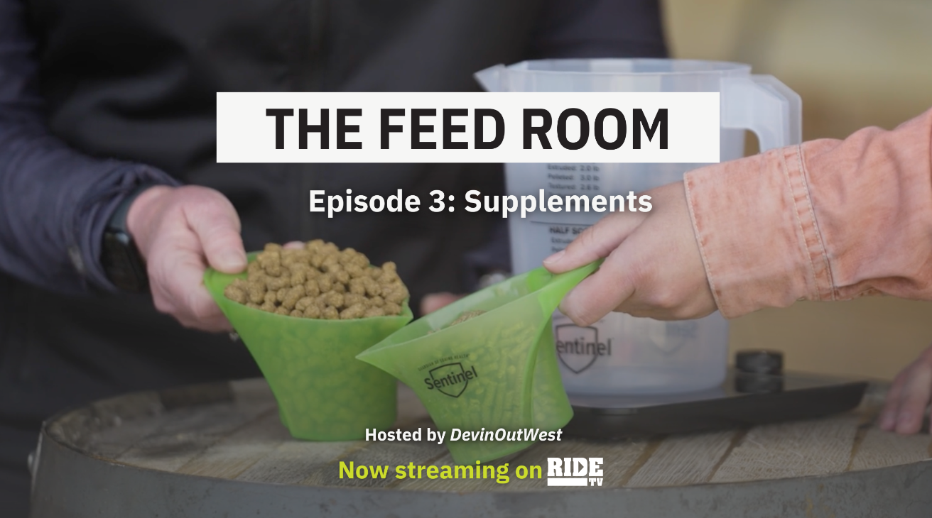 The Feed Room: Supplementing for Success