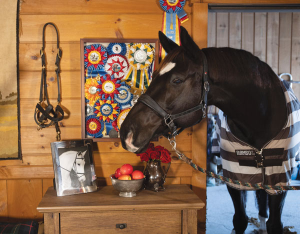 Tack Room Makeover – Horse Illustrated Magazine magazine